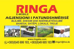 Ringa (Shitet Banesa te Global Invest)699/21 Ringa (Shitet Banesa te Global Invest)699/21